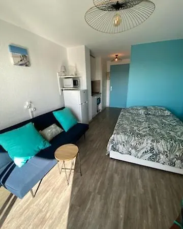 Bleu Horizon Climatise Piscine Parking Appartement *