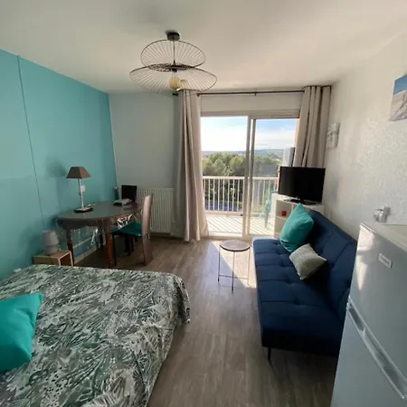 Bleu Horizon Climatise Piscine Parking Appartement